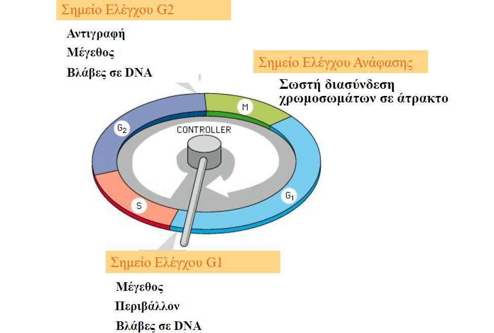 Σημεία ελέγχου