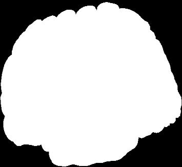 pancreatic glucagon