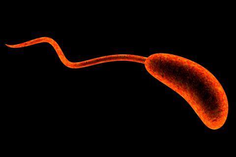 2. During an expedition to Antarctica, where the temperature is -22 o C, you discover a new type of bacteria with a whip-like tail which moves and propels the bacterium when it is electrically