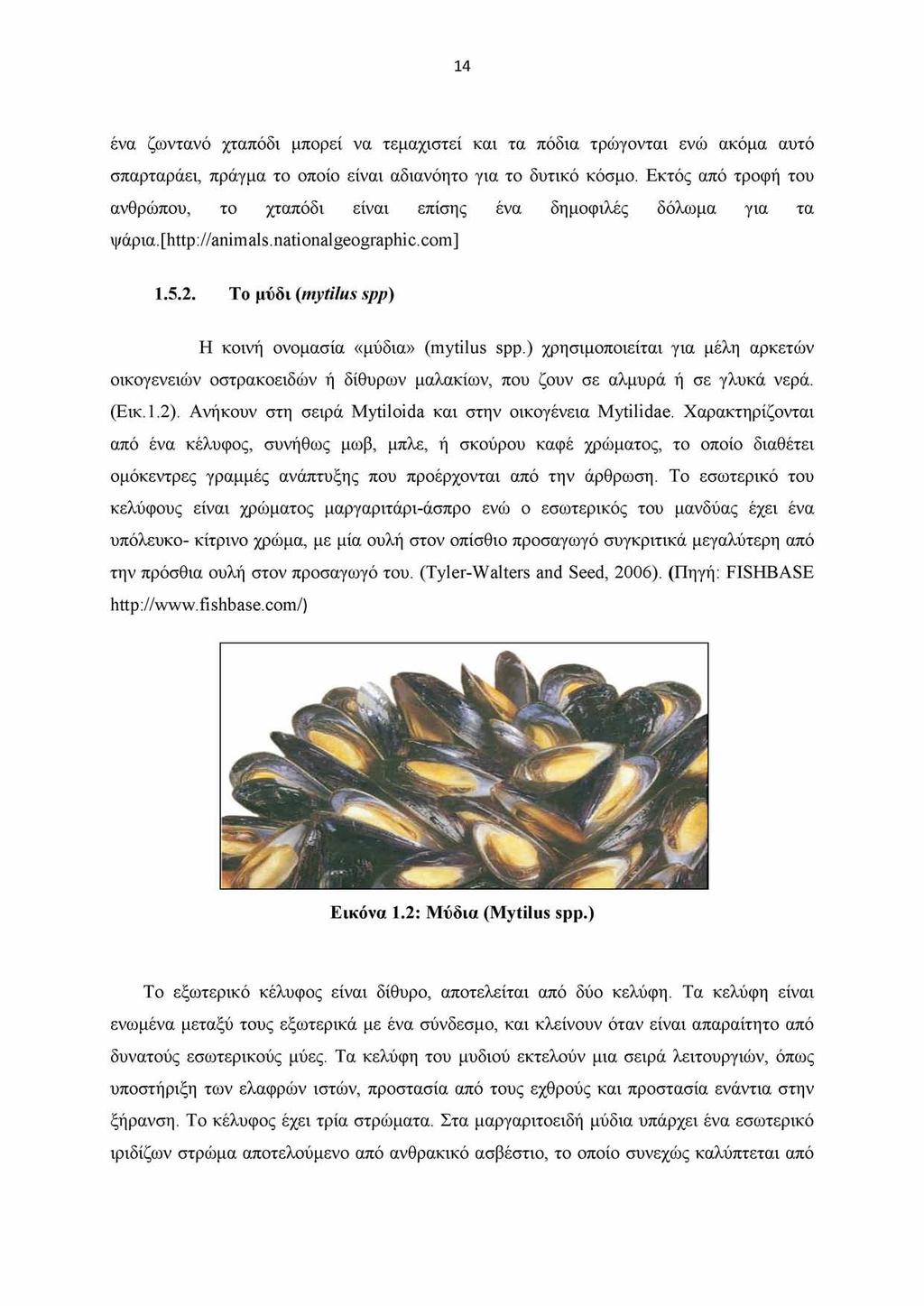 14 ένα ζωντανό χταπόδι μπορεί να τεμαχιστεί και τα πόδια τρώγονται ενώ ακόμα αυτό σπαρταράει, πράγμα το οποίο είναι αδιανόητο για το δυτικό κόσμο.
