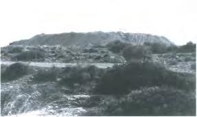 ευρημάτων της ανασκαφής, 1980 (Πηγή: