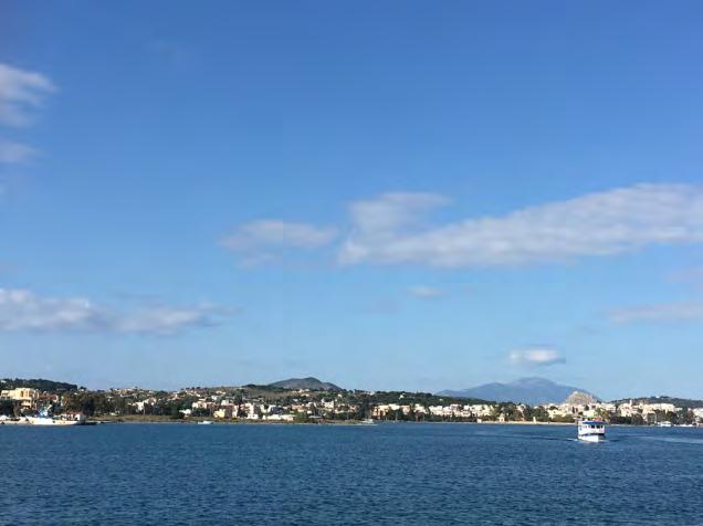 Οι οικιστικές ζώνες στην ανατολική πλευρά της Σαλαμίνας περιλαμβάνουν την κωμόπολη των Αμπελακίων και τους οικισμούς των Παλουκίων, του Καματερού και των Σεληνίων.