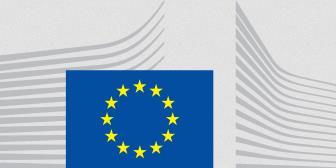 Τρεις Προσεγγίσεις στους Νομοθέτες Η Επιτροπή Η Επιτροπή έχει τον ειδικό ρόλο της εισήσησης νόμων