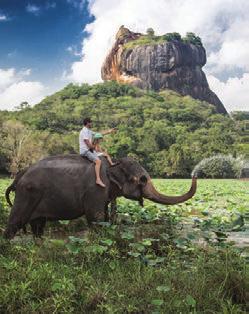 πρόγραμμα που κάνει πραγματικό Σαφάρι στη Σρι Λάνκα, με διαμονή σε Εθνικό Πάρκο.