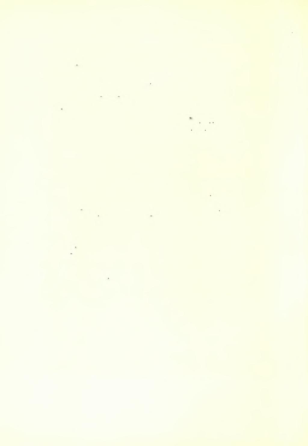 248 ΑΡΧΑΙΟΛΟΓΙΚΟΝ ΔΕΛΤΙΟΝ 21 (1966) : ΧΡΟΝΙΚΑ Τό τέταρτον στρώμα περιείχε κεραμεικά λείψανα κλασσικών καί έλληνιστικών χρόνων, σχετικώς άραιά, είχε δέ πάχος 0,25-0,40 μ.