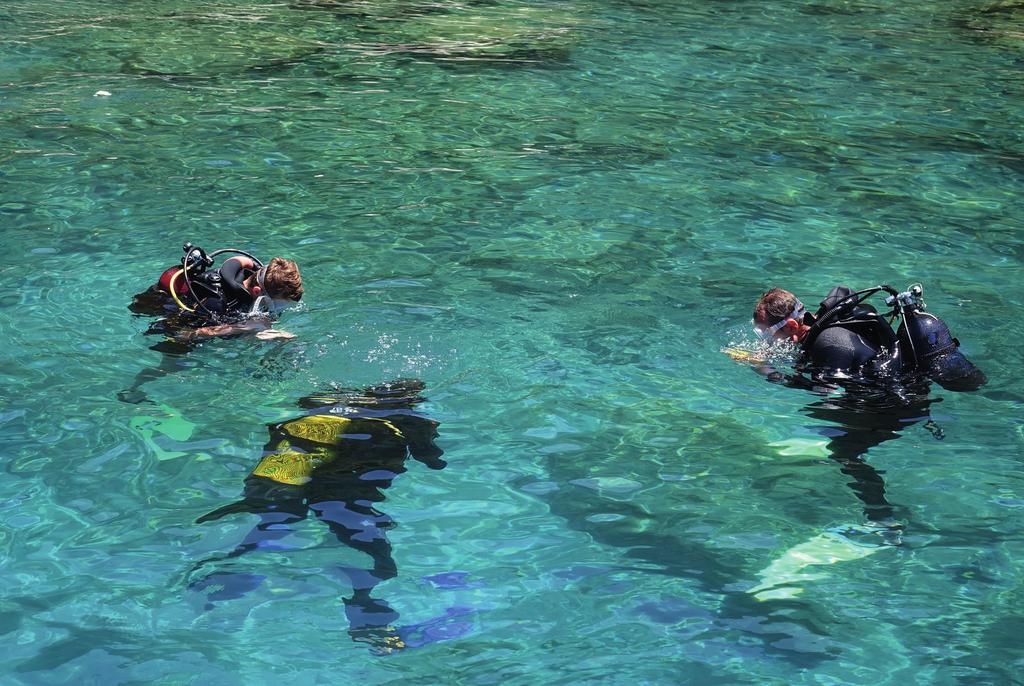 Παγκόσμια Ημέρα Ατόμων με Αναπηρία Κατάδυση στην πισίνα του σχολείου μας θα παρακολουθήσουν οι μαθητές και οι μαθήτριες της Α Λυκείου από τον πρώτο παραπληγικό εκπαιδευτή κ.