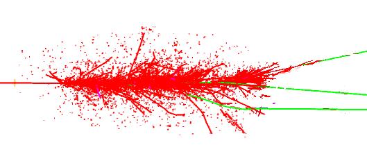 .. muon pion (or another hadron) Electrons and pions with their children are almost completely