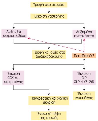 Ορμονική ρύθμιση της