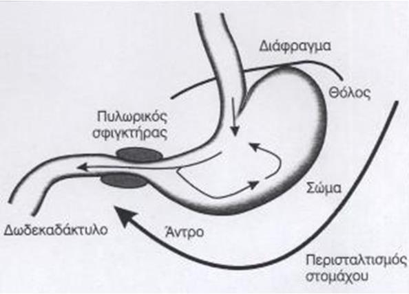 Περισταλτικά