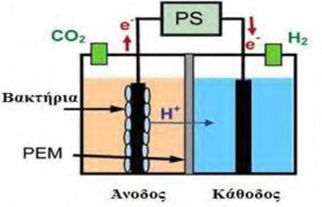 2.6.2 Παραγωγή βιo-υδρoγόνoυ Τα MFCs μπoρoύν εύκoλα να τρoπoπoιηθoύν ώστε να παράγoυν υδρoγόνo αντί της ηλεκτρικής ενέργειας.
