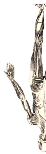 UPPER & LOWER EXTREMITY TENDON SURGERY SEMINAR WITH HANDS ON COURSE 11 12 JANUARY 2019 ATHENS, GREECE A Department of Orthopaedic Surgery Medical School National and Kapodistrian University of