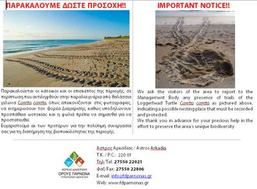ΕΙΚΟΝΑ 3.