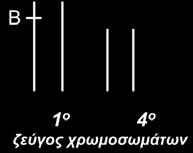 Δ3. Σελ139 «Το βακτήριο Bacillus thuringiensis. ποικιλίες Bt)». Τα φυτικά κύτταρα είναι διπλοειδή.
