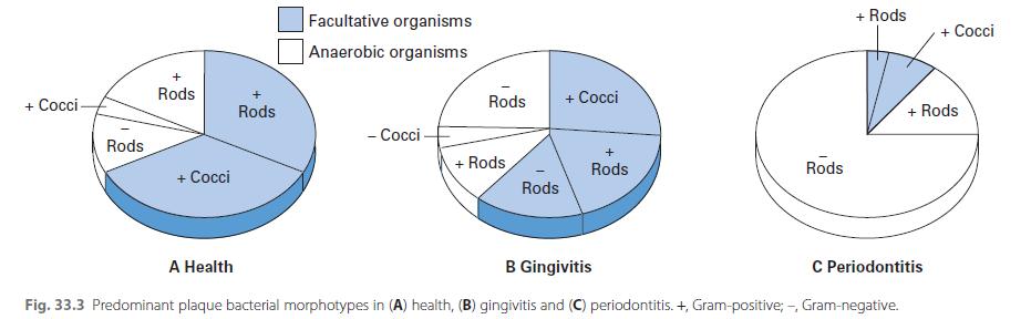 Microorganisms associated with health, gingivitis and