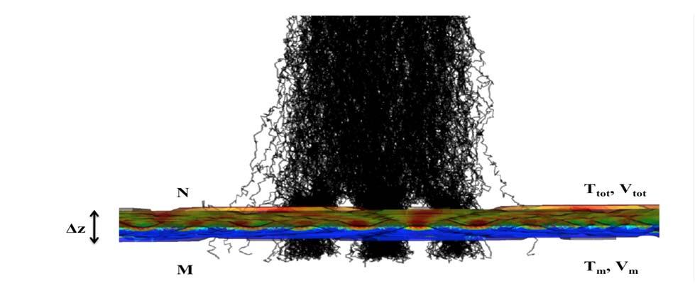 A Phenomenological Model of the PICOSEC Timing Characteristics GARFIELD++ Detailed Simulation All the