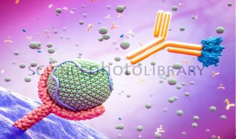 PCSK9