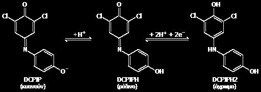Αναγωγή 2,6-διχλωροφαινυλινδοφαινόλης (DCPIP) Συνολικά η αντίδραση είναι: ph 3 Ασκορβικό οξύ + DCPIPH ρόδινο n nole n mole δεϋδροασκορβικό οξύ + DCPIPH2 άχρωμο 3.
