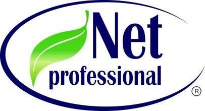 netprofessional.