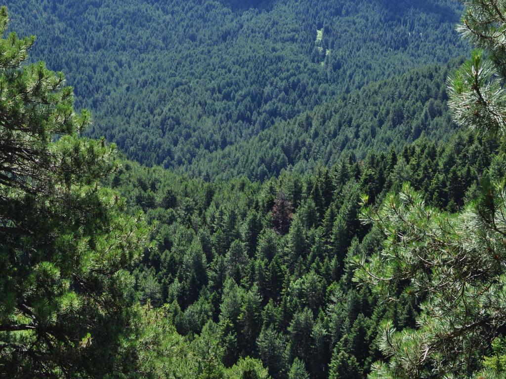 Περιοχές του δικτύου Natura 2000 στην Ελλάδα: ποικίλα ακόμη χαρακτηριστικά