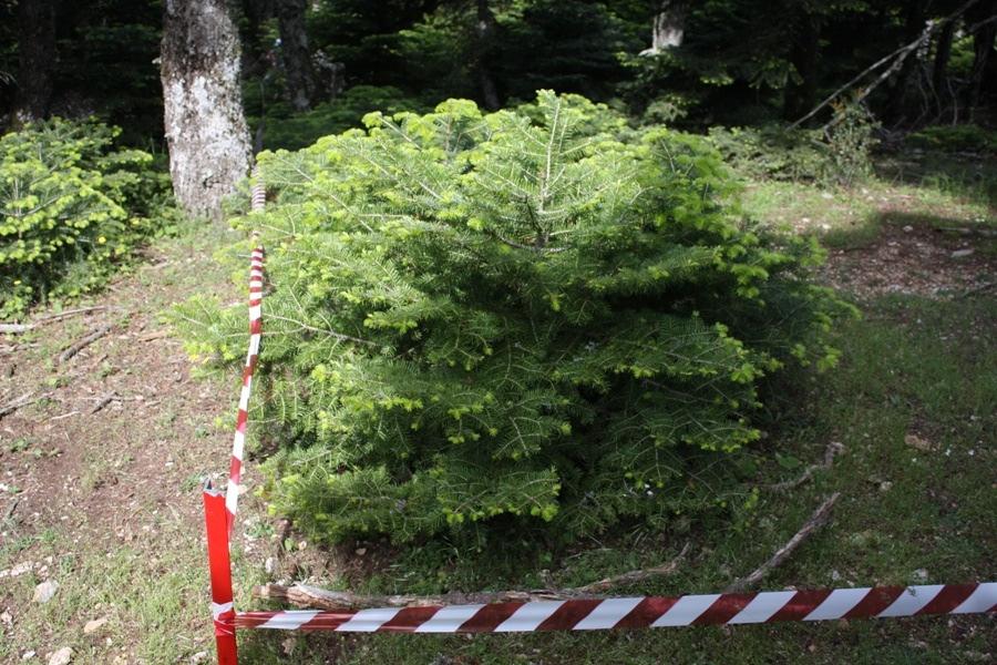 Εγκατάσταση ειγµατοληπτικών Επιφανειών Επιλέχθηκαν οι επιφάνειες που συγκεντρώνανε τα περισσότερα δεδοµένα στις εργασίες που γίνανε στοπλαίσιοτης ράσης 2 Το µέγεθος της κάθε επιφάνειας ορίστηκεστα 50