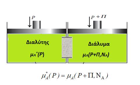 63 µ (P) = µ (P +Π, Ν Α ) (79) * Σχήμα 25: Ισσοροπία μεταξύ του καθαρού διαλύτη υπό πίεση Ρ και του διαλύτη ως συστατικό του μίγματος υπό πίεση Ρ+Π σε σταθερή θερμοκρασία.
