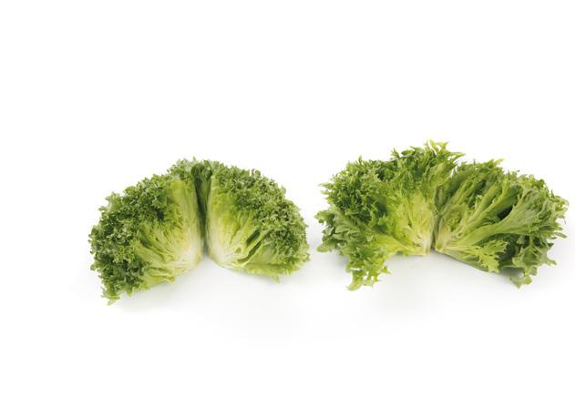 Crystal Lettuce Lalique RZ Είναι μια καινοτομία σε ένα τύπο μαρουλιού - σαλάτας το Crystal Lettuce που μοιάζει σαν ένα ανοιχτό iceberg με πολυσχιδή,τραγανά και ζουμερά φύλλα.