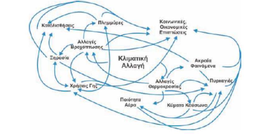 Κύριες παράμετροι, αλληλεπιδράσεις και μηχανισμοί ανάδρασης στη συνέργεια