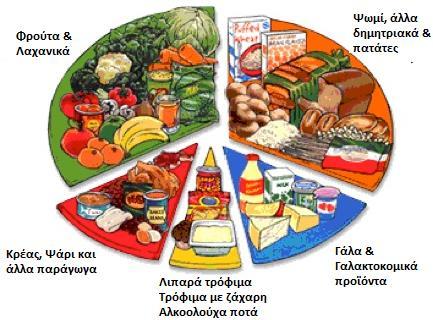 18 Τι είναι η τροφή; Τροφή ή τρόφιμο είναι οποιαδήποτε στερεή ή υγρή ουσία που μπορεί