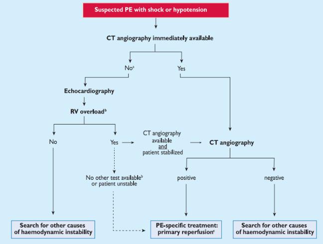 Given the peculiar geometry of the RV, there is no individual echocardiographic parameter that provides fast