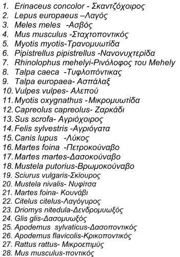 Θηλαστικά