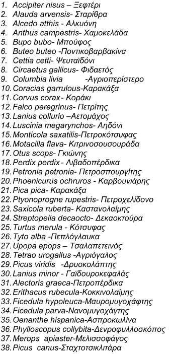 ΠΤΗΝΑ