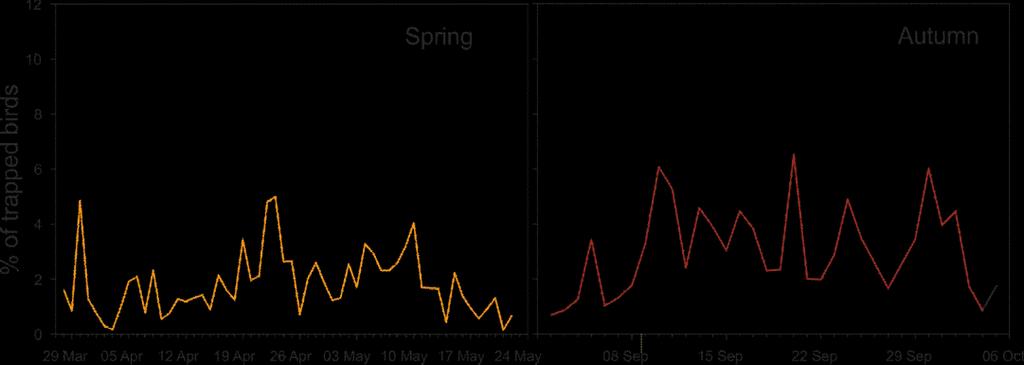 Phenology of passerine migration When assessing the refueling pattern of migratory passerines it is essential to look into the phenology of migration, as the abundance of birds will most likely vary