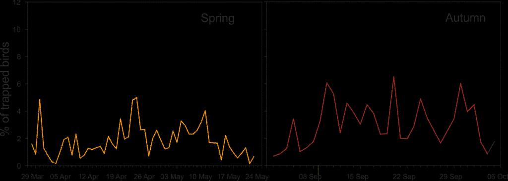 Phenology of passerine migration When assessing the refueling pattern of migratory passerines it is essential to look into the phenology of migration, as the abundance of birds will most likely vary