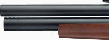 εύστοχο όπλο PCP bullpup.