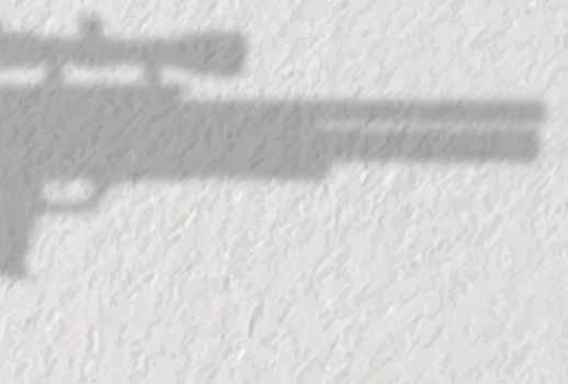 MADE IN SWEDEN BOBCAT Nέο Bullpup της FX, βασισμένο στο μοντέλο FX Royale. 5.5mm 6.35mm 7.