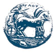 ΕΛΛΗΝΙΚΗ ΔΗΜΟΚΡΑΤΙΑ INFORMATICS DEVELOPMEN T AGENCY ΠΑΝΕΠΙΣΤΗΜΙΟ ΠΕΛΟΠΟΝΝΗΣΟΥ ΕΡΥΘΡΟΥ ΣΤΑΥΡΟΥ 28 & ΚΑΡΥΩΤΑΚΗ Digitally signed by INFORMATICS DEVELOPMENT AGENCY Date: 2019.03.
