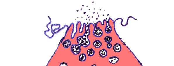 Παγκρεατικό κυψελιδικό κύτταρο - Μικρολάχνες - Ζυµογόνα κοκκία (ενεργά ένζυµα πχ