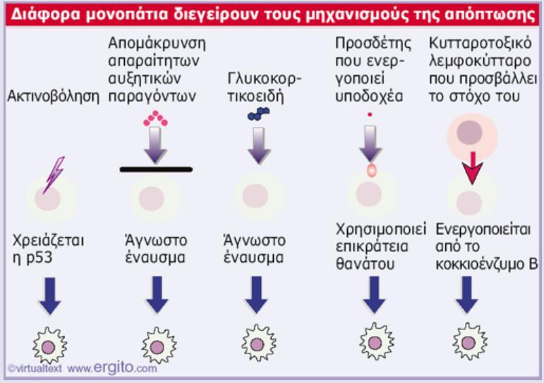 Σήματα που