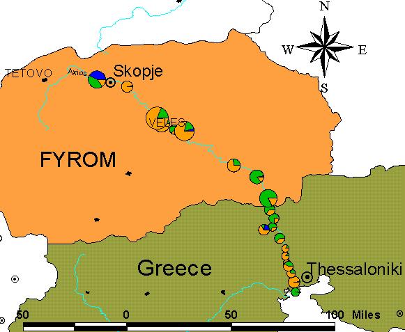 Βιολογικά Στοιχεία Καλοκαίρι A006 A021 A034 A054 A067 A078 A095 A118 A132 A158 Α163 Α180 Α192 Α236 Α242 Α247 Α275 Α292 ΑΒ7 ΑG21 AR10 Περιοχή Εκβολές Αυτοκιν/μος κατάντη Ανατολικό Γέφυρα