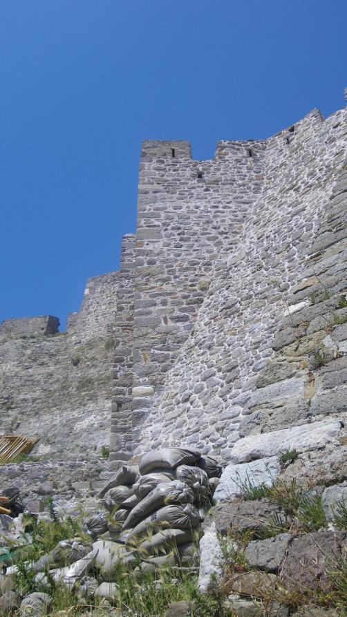 Συνιστάται συστηματική επιθεώρηση του Κάστρου και του αρχαιολογικού χώρου από τις υπηρεσίες του αρμόδιου