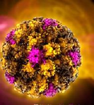 HPV Ο καρκίνος του τραχήλου της μήτρας αποτελεί τον τρίτο πιο κοινό αιτιολογικό παράγοντα καρκίνου στις γυναίκες παγκοσμίως, με περισσότερες από 530.000 νέες περιπτώσεις ετησίως.