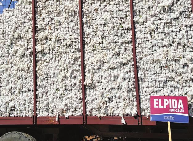 62 ΜΕΓΑΛΕΣ Με πόρους στην έρευνα για όλο και πιο ποιοτικά προϊόντα Η εταιρεία Σπύρου διαθέτει συνεχώς πόρους στην έρευνα που οδηγούν σε νέα εξελιγµένα και πιο ποιοτικά προϊόντα, όπως η παραγωγή