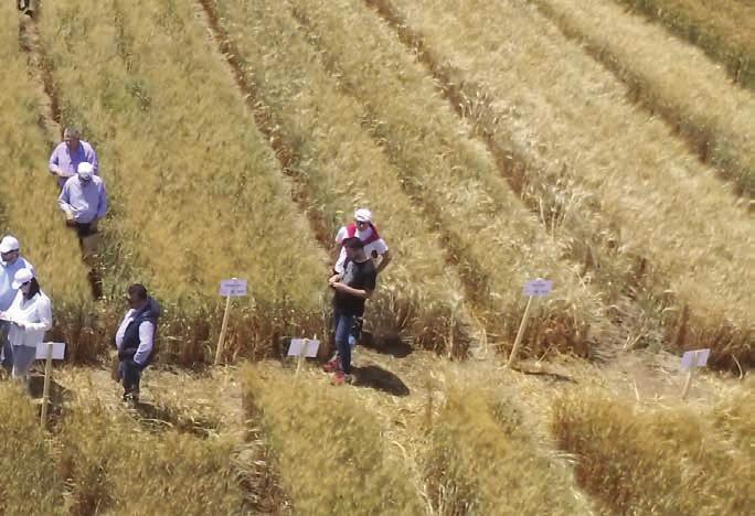 ΜΕΓΑΛΕΣ 67 Η συνεχής ανοδική πορεία της F.A.S.