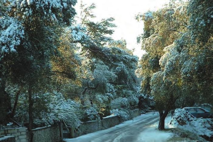 Το χιόνι κάλυψε τα πάντα προσφέροντας πανέμορφες εικόνες.