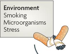 Environment Autoantibodies Inflammation