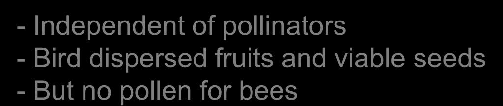 dispersed fruits and