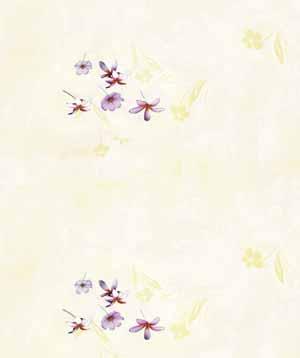 DESIGN 8030