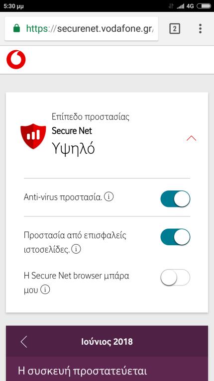 Vodafone Secure Net -