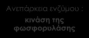 : κινάση της