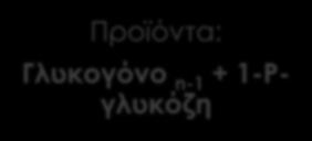 γλυκογόνου